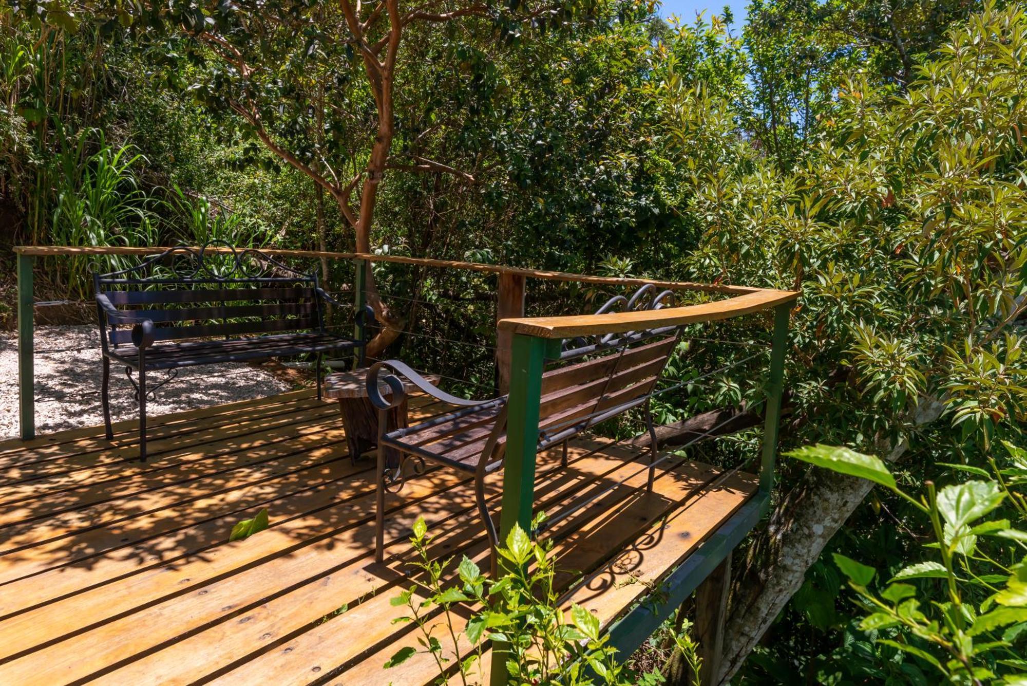 Cabinas Capulin & Farm Monteverde Zewnętrze zdjęcie